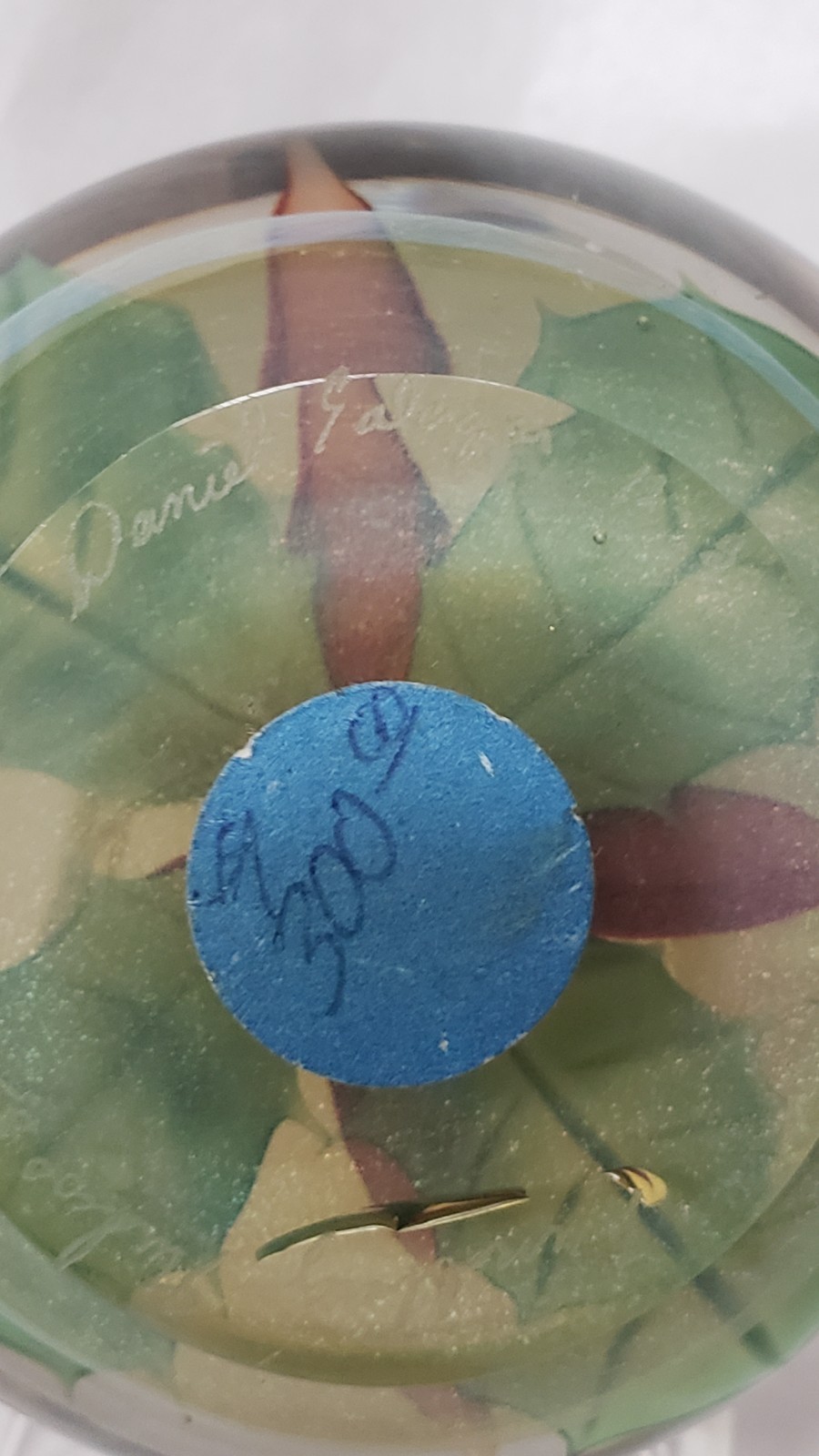 Daniel Salazar Lundberg Studios Christmas Holiday Poinsettia Paperweight