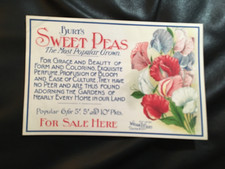  on The Hot Collector