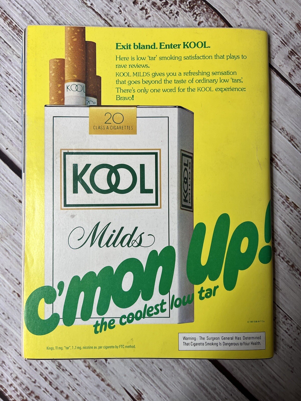 Vintage PLAYBOY MAGAZINE MARCH 1981 Tricia Cybil Barnstable Twins James