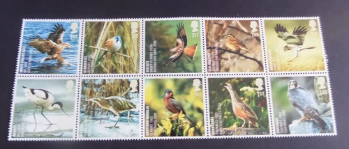 GB 2008 action for Species birds SG2764/73 1st class MNH UM unmounted mint