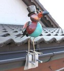 Bild 4 von 10