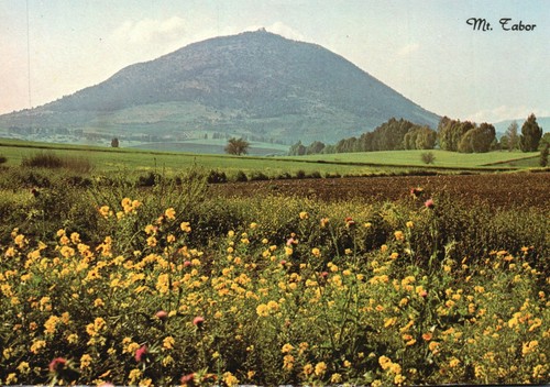 Postcard Mount Tabor Battle Site Historic Mountain Lower Galilee Israel - Afbeelding 1 van 2