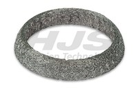 Dichtring Abgasrohr HJS 83 15 7130 FüR Mercedes Ford Katalysator Klasse Model 1