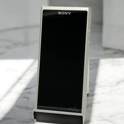 Sony Walkman NW-ZX507 Android Hi-Res Balanced Audio Player Silver Used Japan