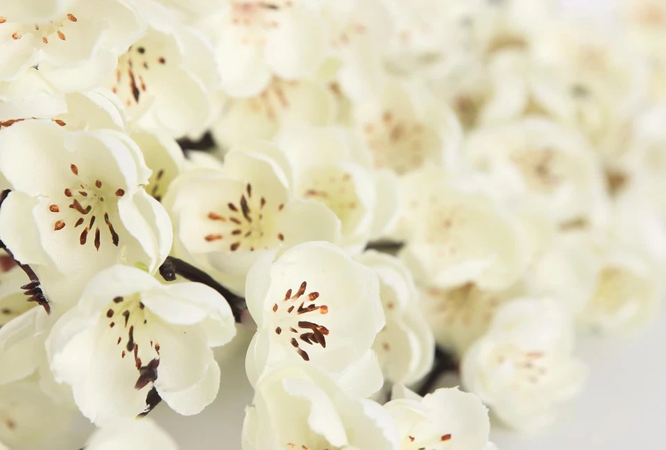 5 Piezas Flor de Ciruela Artificial Falsa Invierno Dulce Tallo Largo Plástico Flores Hogar Ho Foto 4 de 4