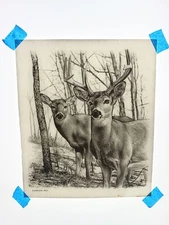 Authentic Vintage 90's Deer Buck Doe Wildlife Outdoors Heat Transfer Iron On NOS