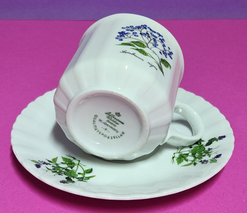 10.7 Seltmann Weiden * Flora Botanica * tazza caffè + Sambucus Nigra inferiore - Foto 3 di 4