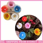 Bee Insect Drinking Cup, Thirsty Pollinators Need Safe Places to Drink, Bee Cups