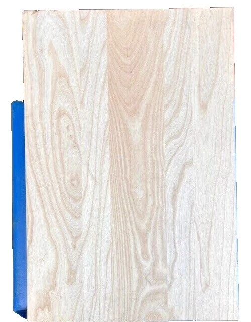 Ash Bass Guitar Guitar Building & Luthier Supplies