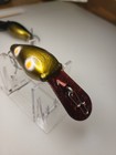 Look At Pics!! Lot Of Vintage Custom Painted Luhr Jensen Hot Shot 1/2 Oz SE SP#  — photo 3