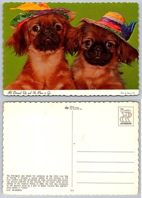 Cute Pekingese Puppies in Hats Postcard - ''All Dressed Up'' - Dexter Press