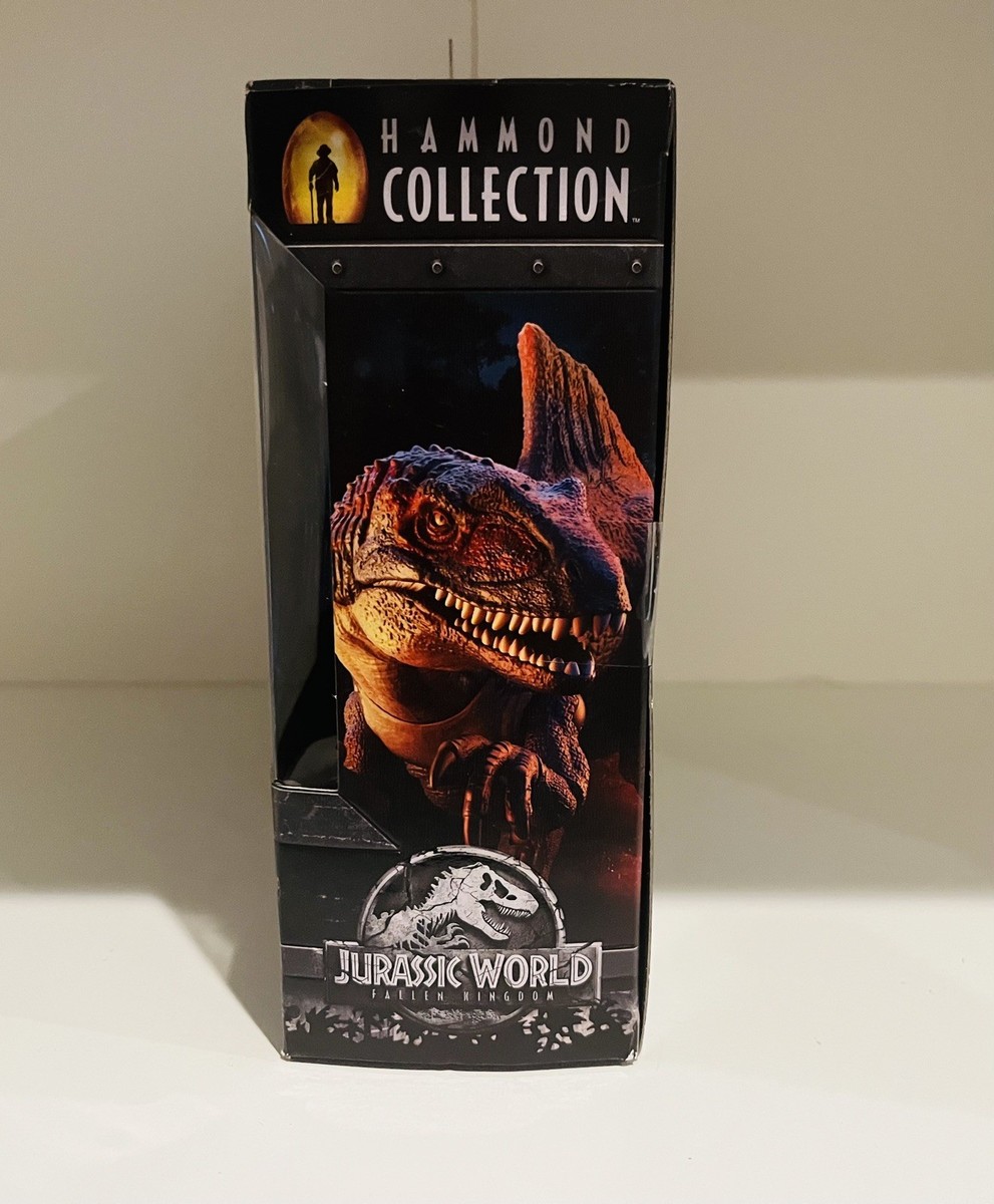 Mattel Jurassic World Hammond Collectie Dinosaurusfiguur Velociraptor Blue, premium design en beweeglijkheid, speelgoed om te verzamelen, HTV62
