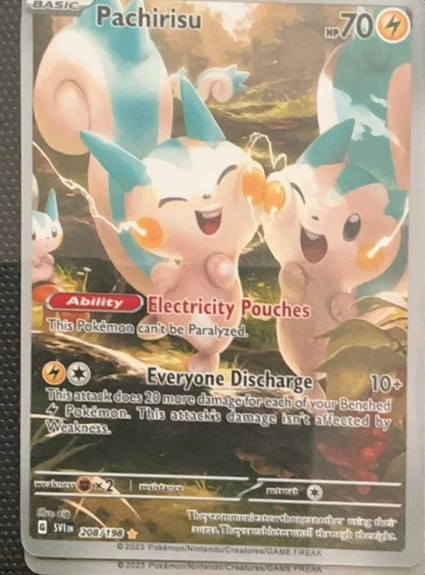 pachirisu pokemon card price (208/198)  PokeGuard 084/078 Card Type Pachirisu Holo #051/132 from Mega