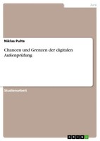 Niklas Pulte | Chancen Und Grenzen Der Digitalen AußEnprüFung | Taschenbuch
