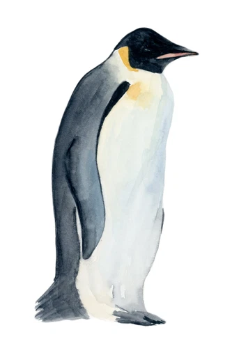 Baby Penguin Self Adhesive Vinyl Sticker