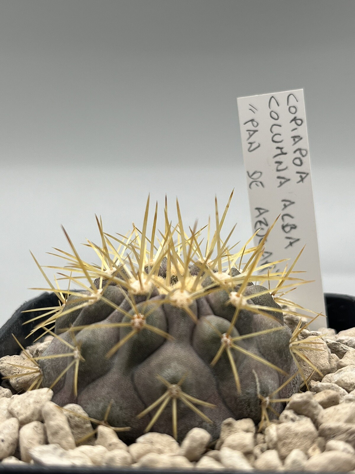 Foto 1 di 4