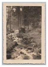 Seebach Seebach Loop 1940 - River Forest Creek Landscape - Old Photo