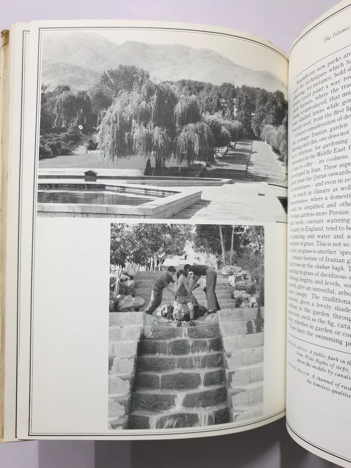 Picture 4 of 12