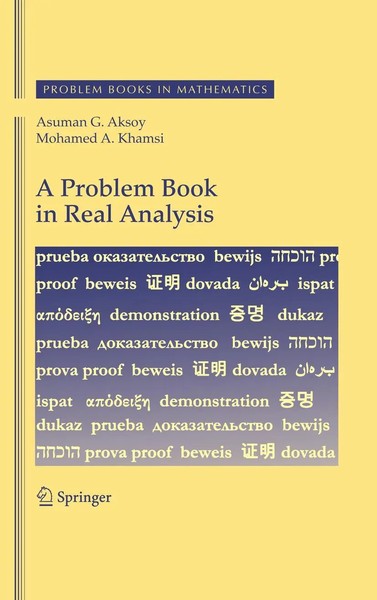 A Problem Book In Real Analysis Asuman G. Aksoy (U. A.) Taschenbuch X Englisch-image