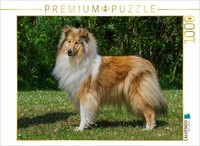 Calvendo Puzzle A Beautiful Female Collie | 1000 Pieces, Finished Size 25.2 × 18