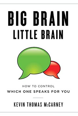 Big Brain Little Brain: How to - GOOD