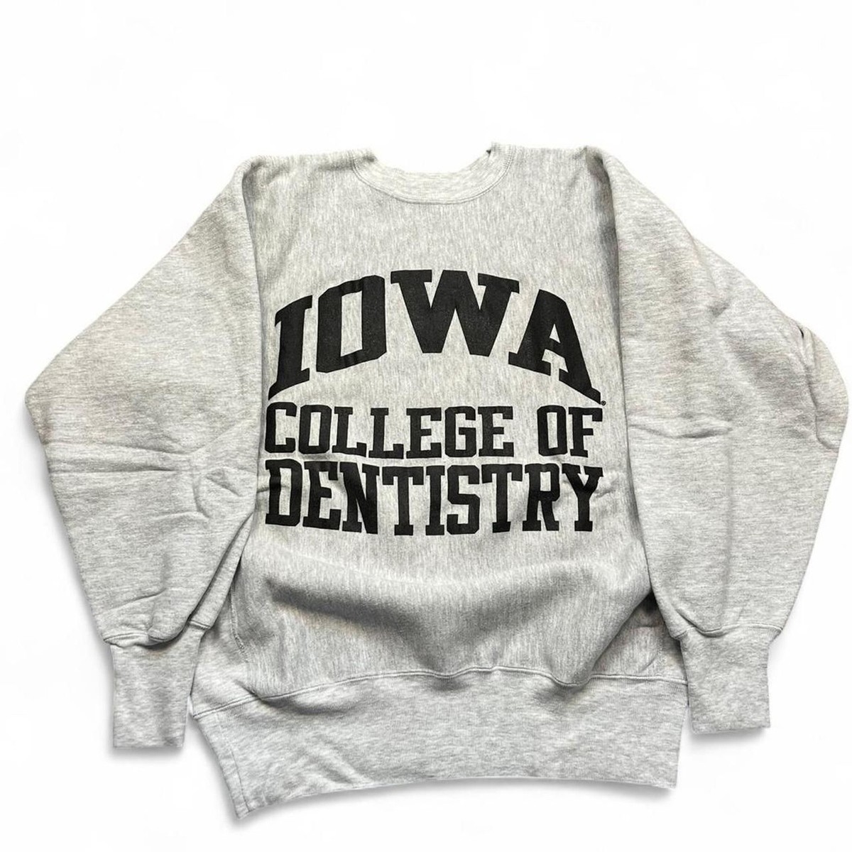 Vintage 80s-90s reverse weave champion iowa college of dentistry 