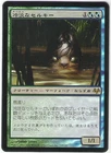 MTG Japanese Foil Cold-Eyed Selkie Eventide NM