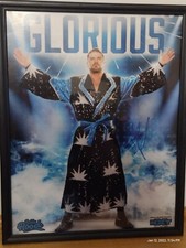 WWE 11x14 Autograph Authenticated Photo Bobby/Robert Roode