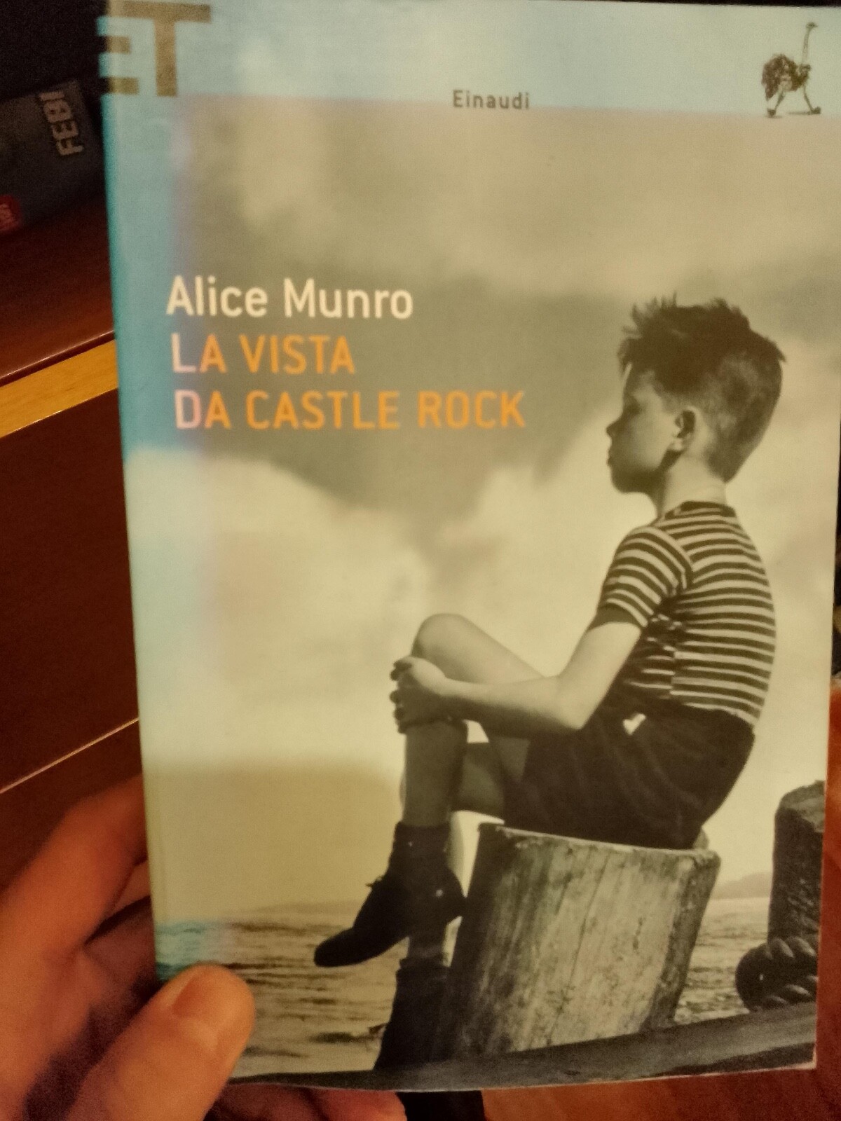 Munro Alice LA VISTA DA CASTLE ROCK