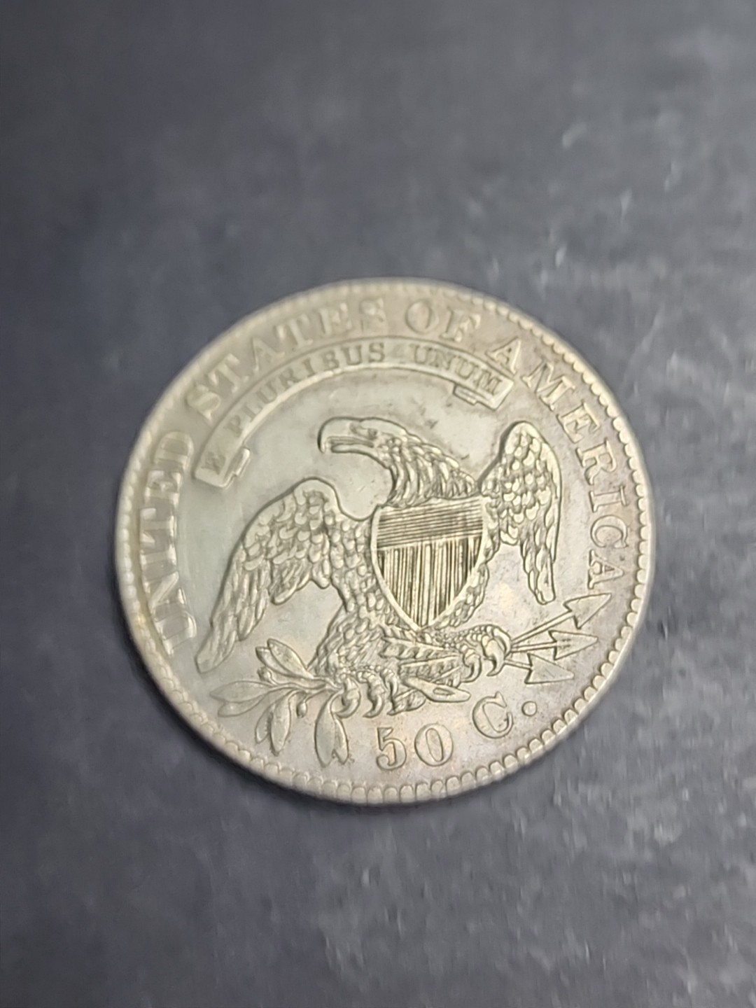 Picture 5 of 6