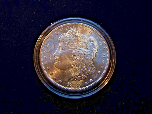 1881 S MORGAN SILVER DOLLAR BU MS REFLECTIVE