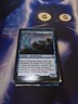 Mtg Singles - Tidebinder Mage - Duel Decks: Merfolk vs. Goblins - Rare - LP