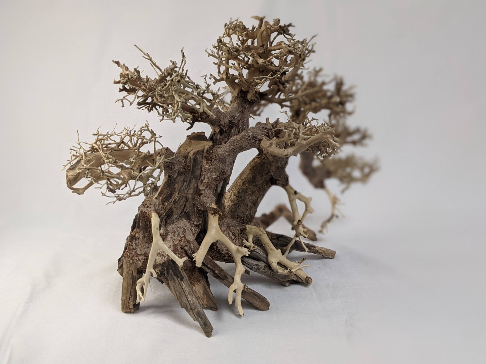 Natural Bonsai Driftwood Aquarium Tree eBay