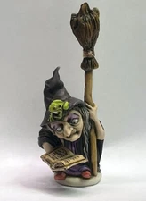 Neil Eyre Designs Halloween Wicked Witch Hat Frog Spell book Tree Frog Broom