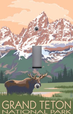 Light Switch Plate Switchplate & Outlet Covers WILDLIFE MOOSE GRAND TETON PARK