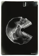 Shok-1 Consumer Mini X-Ray print street art graffiti Pacman not Banksy DFace