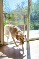 Screen Pet Door Conversion Kit  Doggie for Regular, White Tape