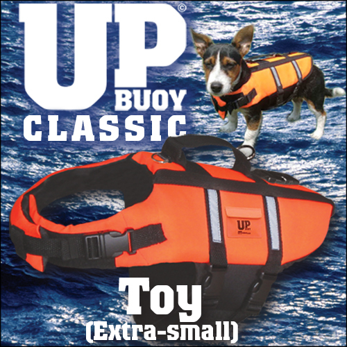 'TOY' (Extrasmall) DOG LIFE JACKET + CATS! lifejacket eBay