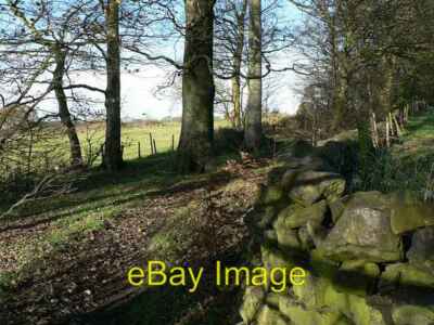 Photo 6x4 Footpath among beech trees, Hunger Hills, Horsforth This footpa c2006