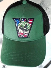WASHINGTON WILD THINGS Baseball Hat Cap Green Army Snapback NOS
