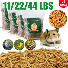 Dried Mealworms Non-GMO for Birds, Reptiles,Chickens,Pond and Koi Fish 22 44LBS