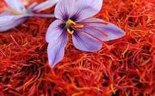    Original Spanish Saffron 1 gm For Food And Coffee                        