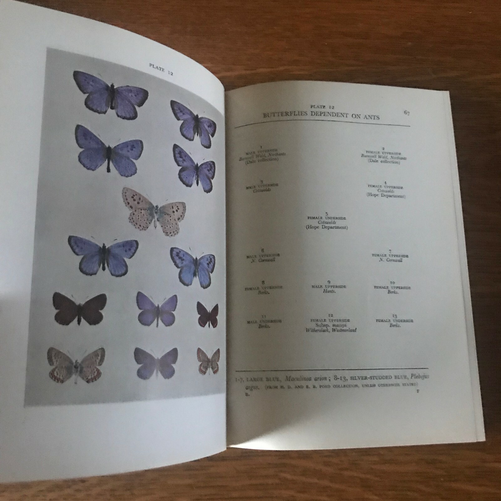 Picture 4 of 7