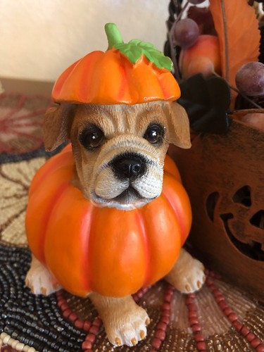 Herbst/Halloween Hund im Kürbis Kostüm, Deko Resin Figur
