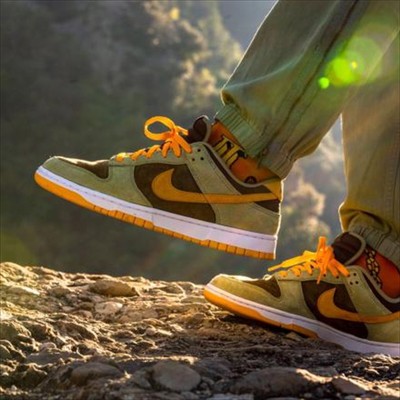 nike dunk low dusty olive pro gold