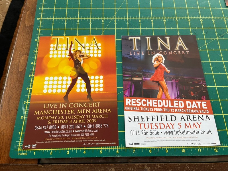 TINA TURNER  8” X 6” Concert Flyer PosterS X 2 Original Tour Posters UK RARE 
