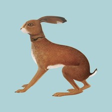 Vashti Bunyan Lookaftering (Vinyl) Expanded  12" Album