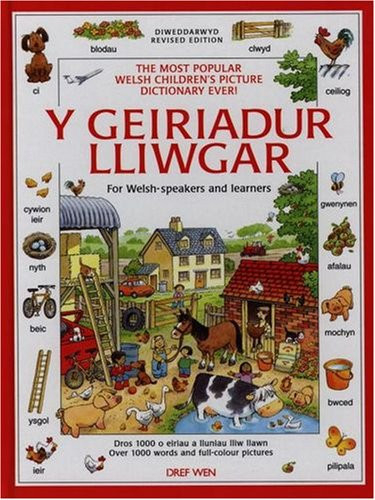 Geiriadur Lliwgar, Y: For Welsh-speakers and Learners by Heather Amery Hardback - Bild 1 von 2