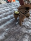 Vintage Flock Fleece Fuzzy DONKEY JACK ASS Sombrero Salt Pepper Shaker S5 — photo 9