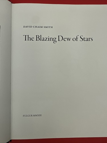 Der lodernde Tau der Sterne David Chaim Smith Fulgur Hardcover Spirituell - Bild 6 von 12